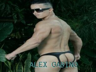 ALEX_GABINO