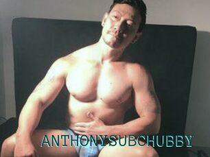 ANTHONYSUBCHUBBY