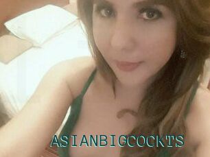 ASIAN_BIGCOCK_TS