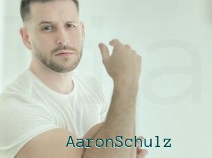 AaronSchulz