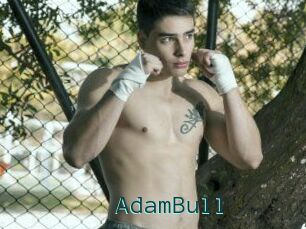 AdamBull