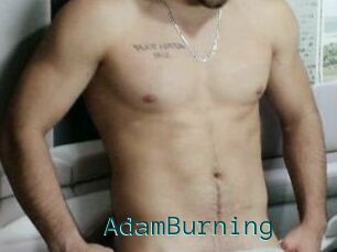 AdamBurning
