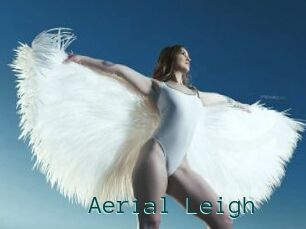 Aerial_Leigh