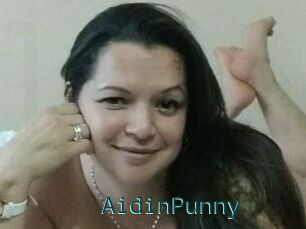 AidinPunny