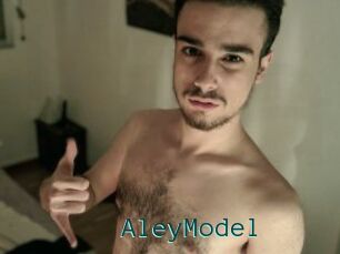 AleyModel