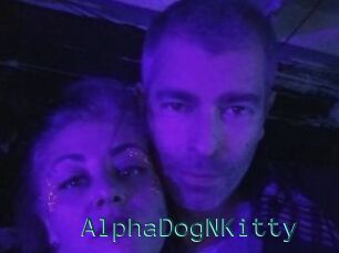 AlphaDogNKitty