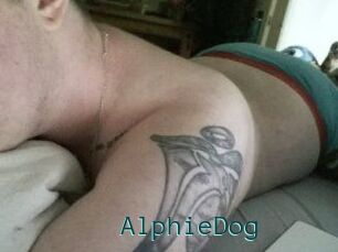 Alphie_Dog