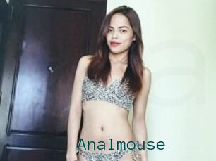 Anal_mouse