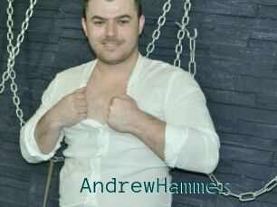 AndrewHammer