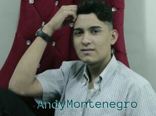 AndyMontenegro