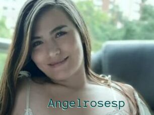 Angelrosesp