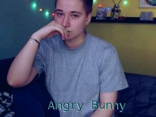 Angry_Bunny