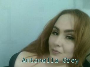 Antonella_Grey