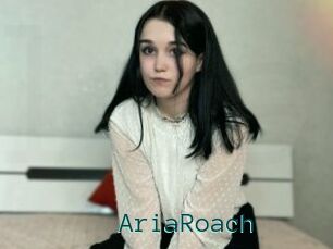 AriaRoach