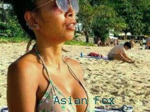 Asian_Fox