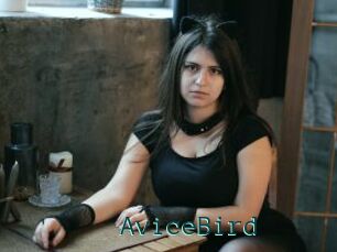 AviceBird