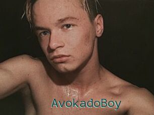 AvokadoBoy