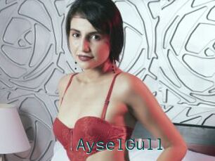 AyselGull
