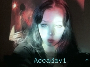 Accadavi