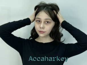 Accaharkey