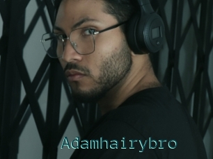 Adamhairybro