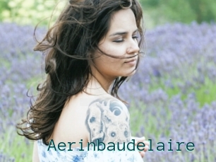 Aerinbaudelaire