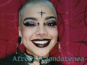 Afrodittaandatenea