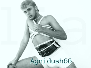 Agnidush66