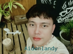 Aidenlandy