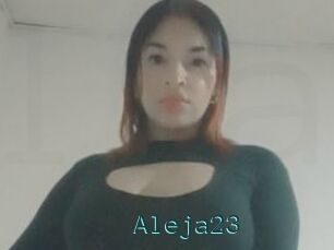 Aleja23