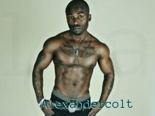 Alexandercolt