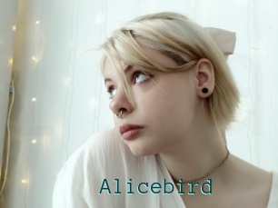Alicebird