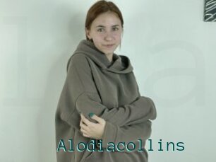 Alodiacollins