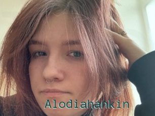 Alodiahankin