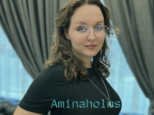 Aminaholms