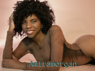 Amiramorgan