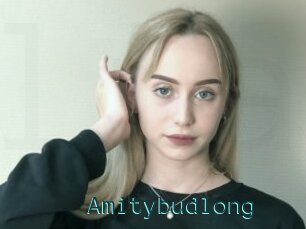 Amitybudlong
