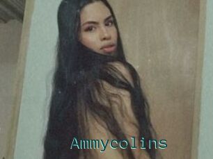 Ammycolins