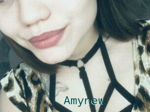 Amynew