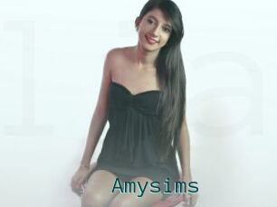Amysims
