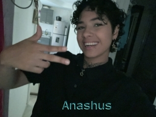 Anashus