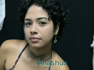 Anashus