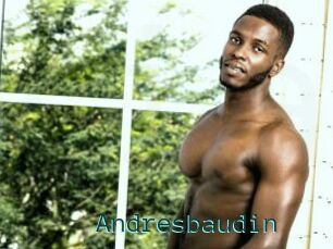 Andresbaudin