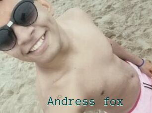 Andress_fox