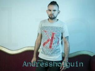 Andressholguin