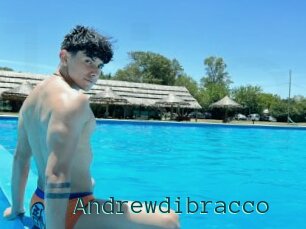 Andrewdibracco