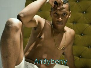 Andybony