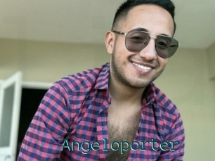 Angeloporter