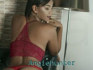 Angiehunter