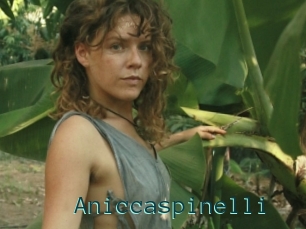 Aniccaspinelli
